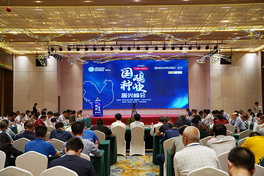 1617764688728829.jpg ´ó»áÏÖ³¡.JPG