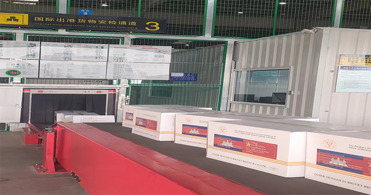 1686638197260385.png ͼƬ4.png