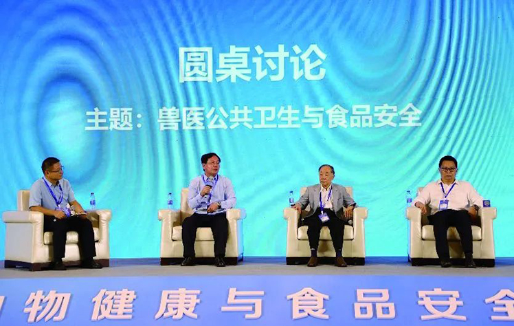 1688200914121474.jpg 11.jpg