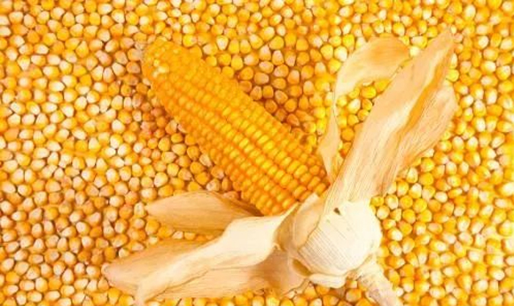 ��Ӯ��(VWIN)�ٷ���վ-AC�����ٷ��������