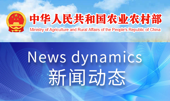 ��Ӯ��(VWIN)�ٷ���վ-AC�����ٷ��������